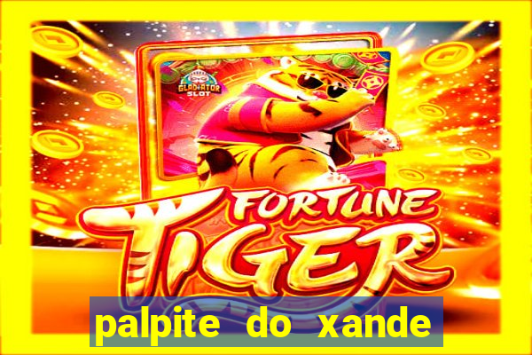 palpite do xande para hoje