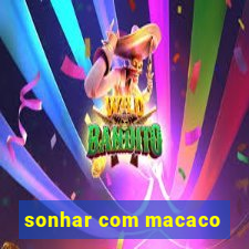 sonhar com macaco