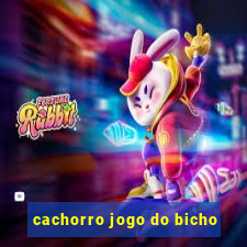 cachorro jogo do bicho