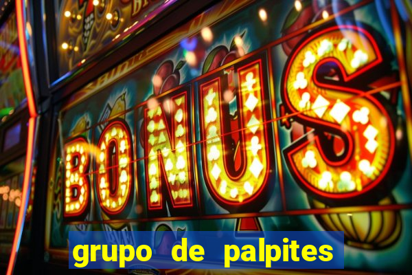 grupo de palpites de futebol whatsapp