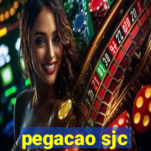 pegacao sjc