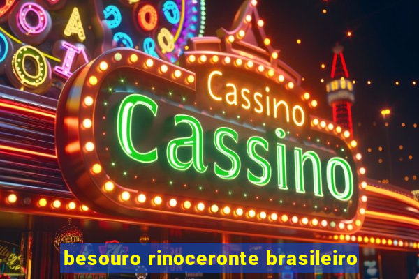 besouro rinoceronte brasileiro