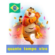 quanto tempo vive um passarinho bem-te-vi