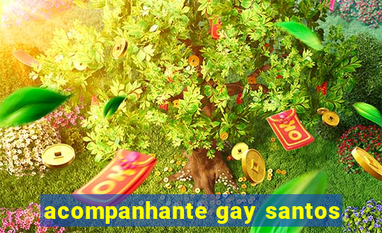 acompanhante gay santos