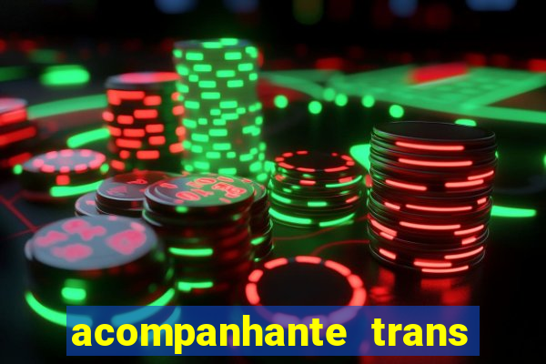 acompanhante trans baixada fluminense