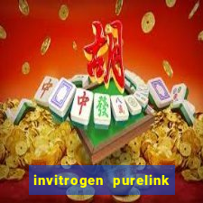 invitrogen purelink genomic dna mini kit